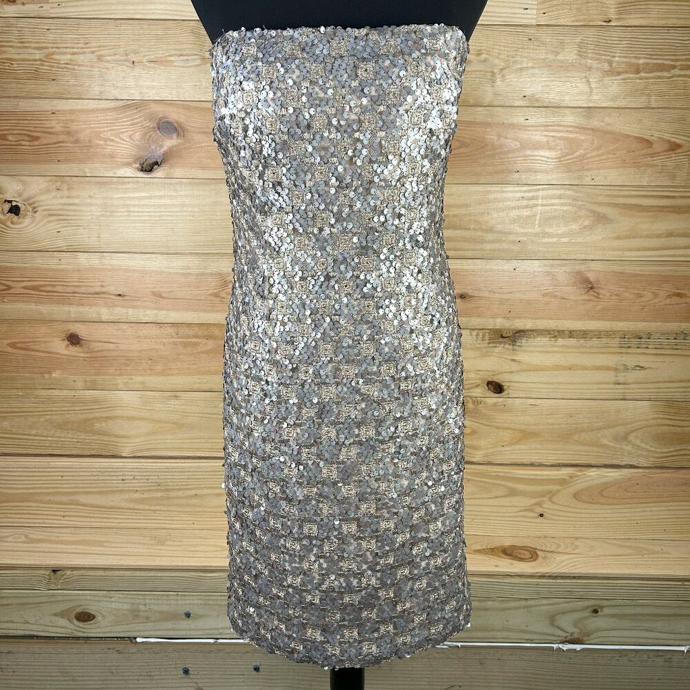 Per Se Strapless Sequin Dress in Silver and Gold
